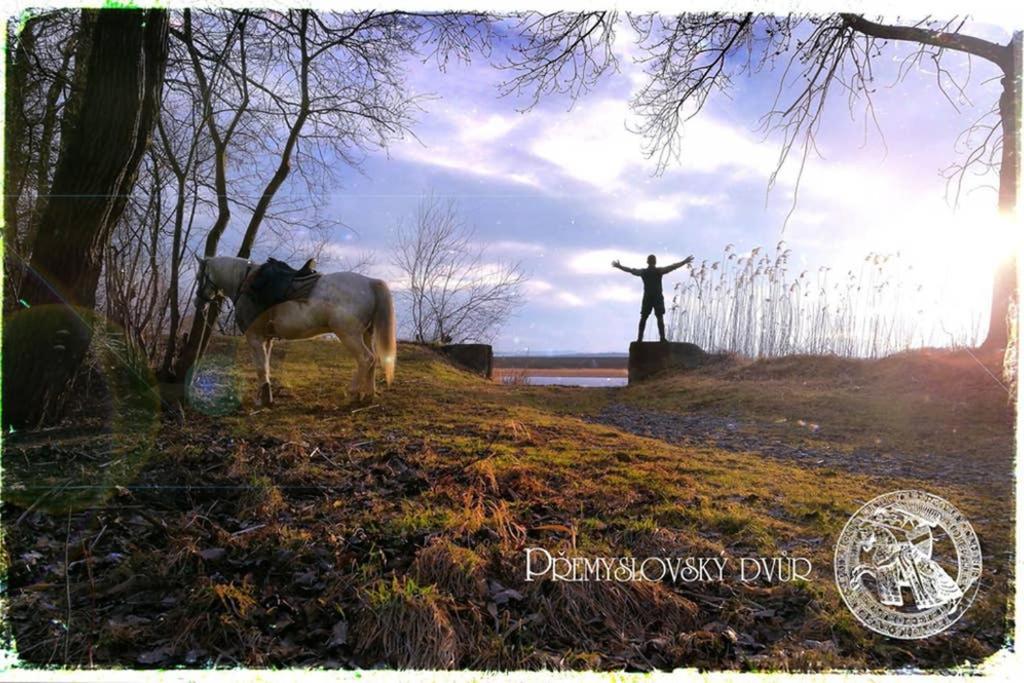 شقة Premyslovsky Dvur Slezske Pavlovice المظهر الخارجي الصورة